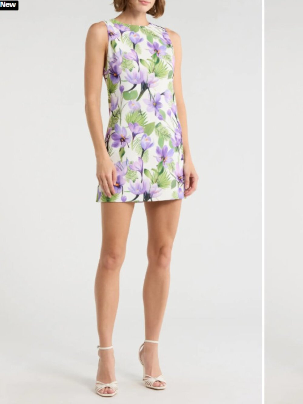 Alice + Olivia Clyde Floral Sleeveless A-Line Dress